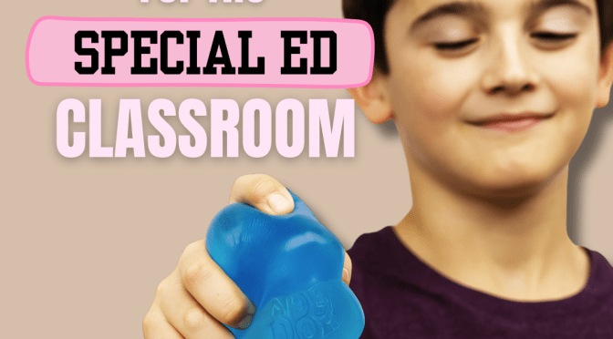 Top Fidgets For The Special Ed Classroom: Calming Tools That Actually Work!